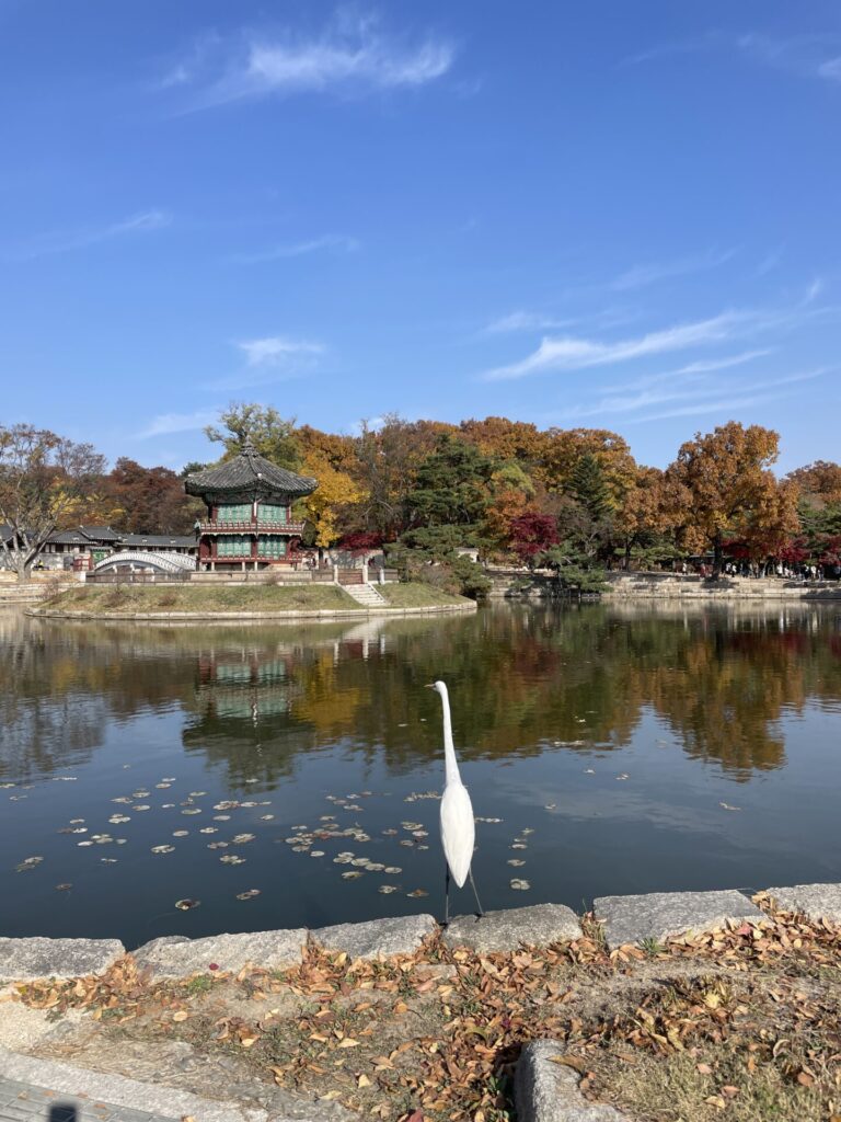 The Best Time to Visit Seoul (And When I’d Go Again) 2026