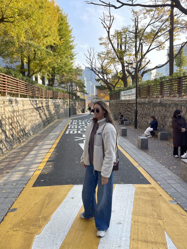 The Ultimate Seoul Travel Itinerary: 3-5 Days + Everything You Need to Know About Seoul