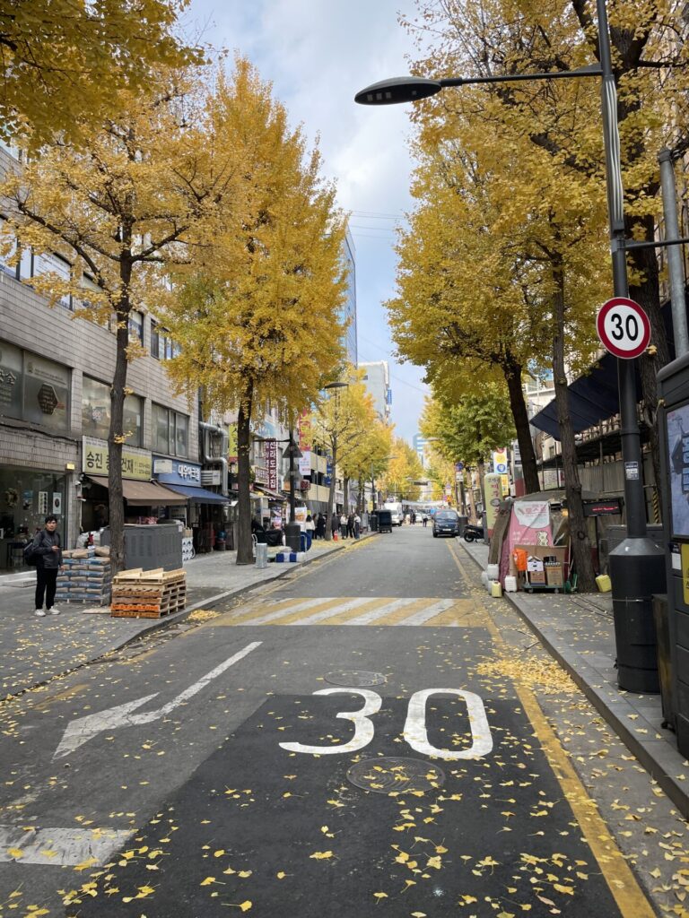 The Best Time to Visit Seoul (And When I’d Go Again) 2026