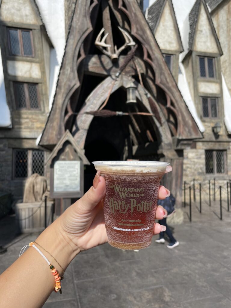 My TOP 9 Universal Studios Japan Tips You Have to Know in 2026