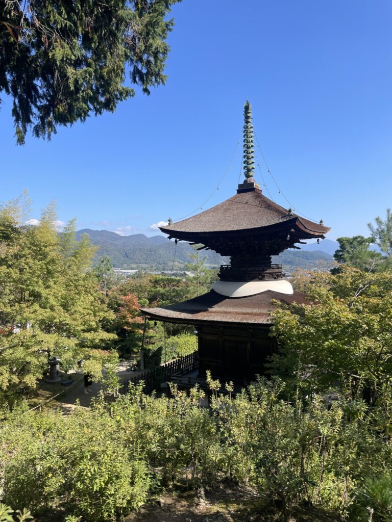 Is Kyoto Worth Visiting? My Honest Review 2026