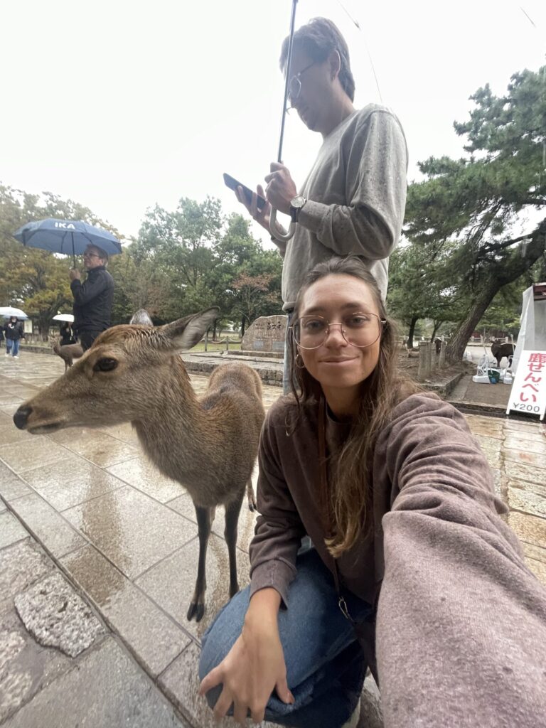 Is Kyoto Worth Visiting? My Honest Review 2026