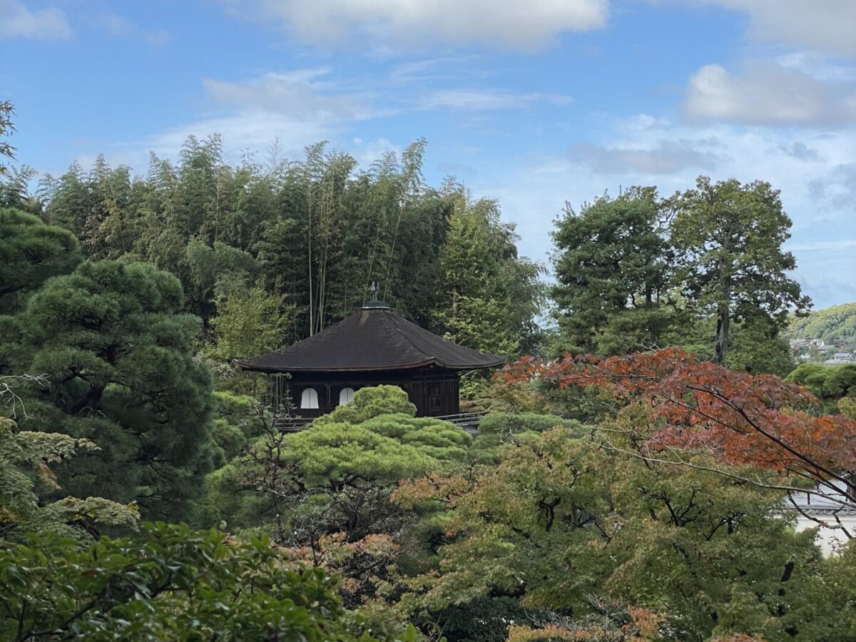 The Best Time to Visit Kyoto Japan (When I Would Visit Again) 2026