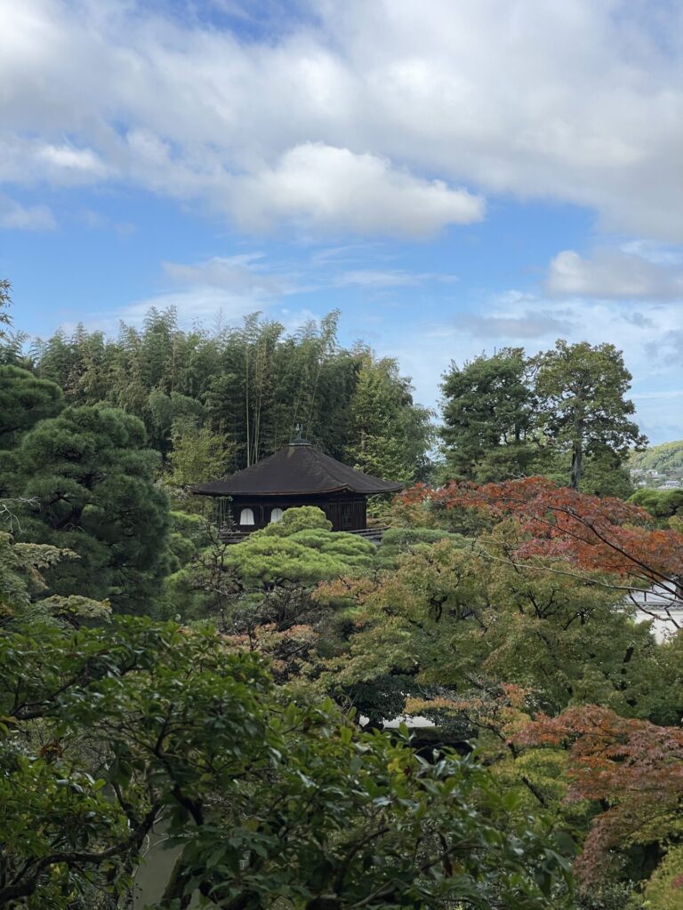 The Best Time to Visit Kyoto Japan (When I Would Visit Again) 2026