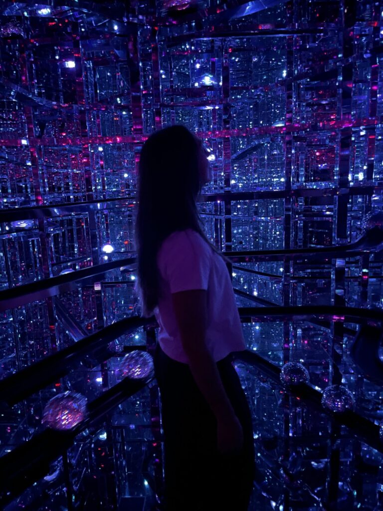 Teamlab Borderless Review: Is Teamlab Borderless Worth It? (2026)