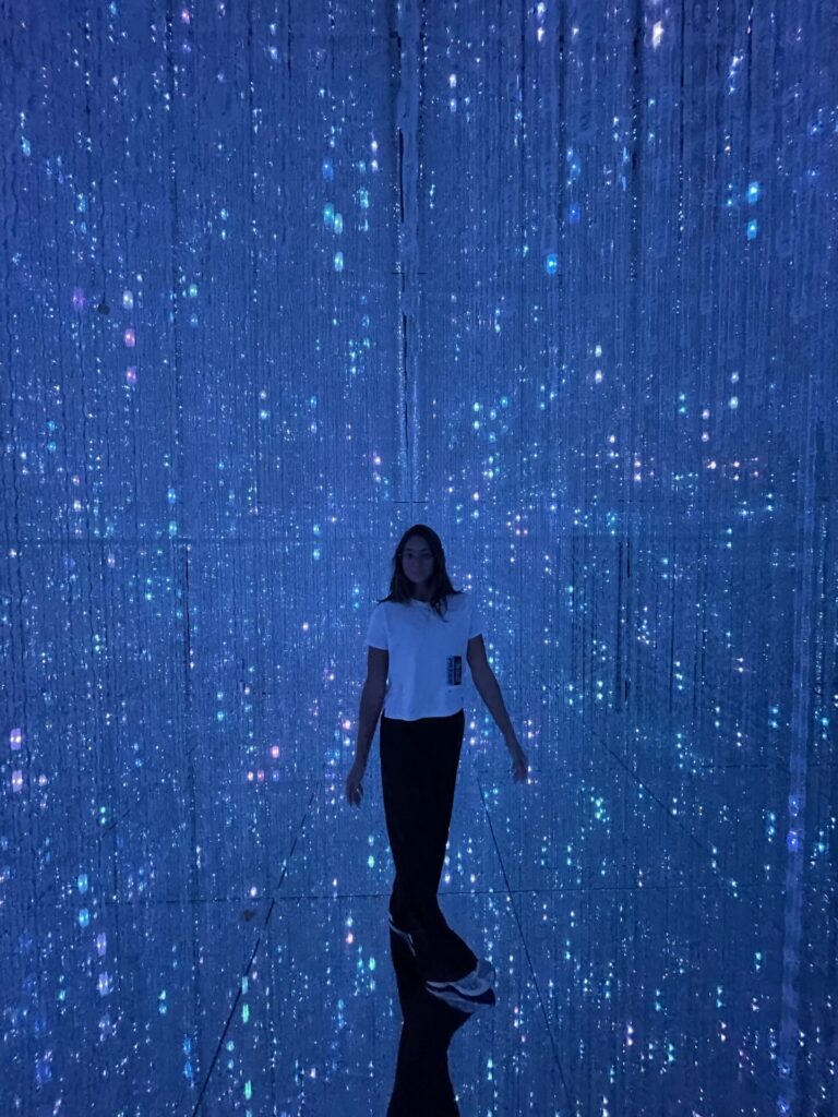 Teamlab Borderless Review: Is Teamlab Borderless Worth It? (2026)