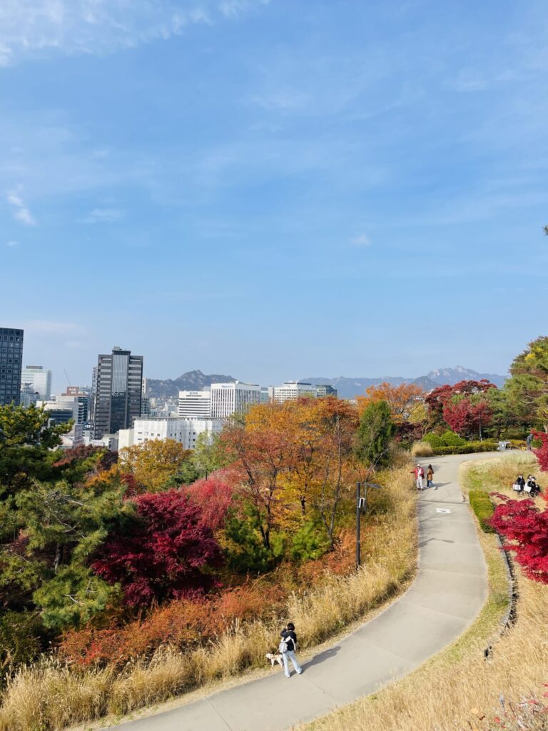 The Best Time to Visit Seoul (And When I’d Go Again) 2026