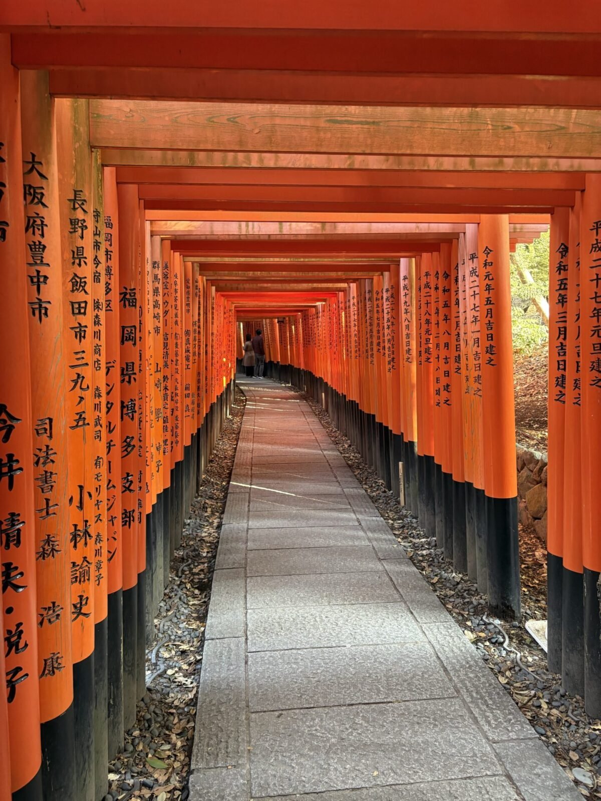 A Mini Guide to Fushimi Inari Taisha Shrine: Is It Worth It? 2026 ...
