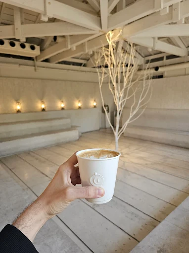 The 7 Best Cafes in Kyoto: Where to Find the Best Coffee in Kyoto (2026)