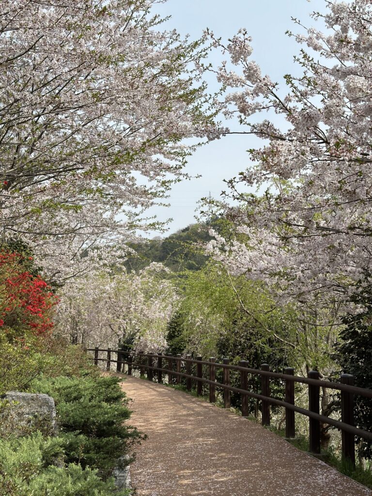 The Best Time to Visit Seoul (And When I’d Go Again) 2026