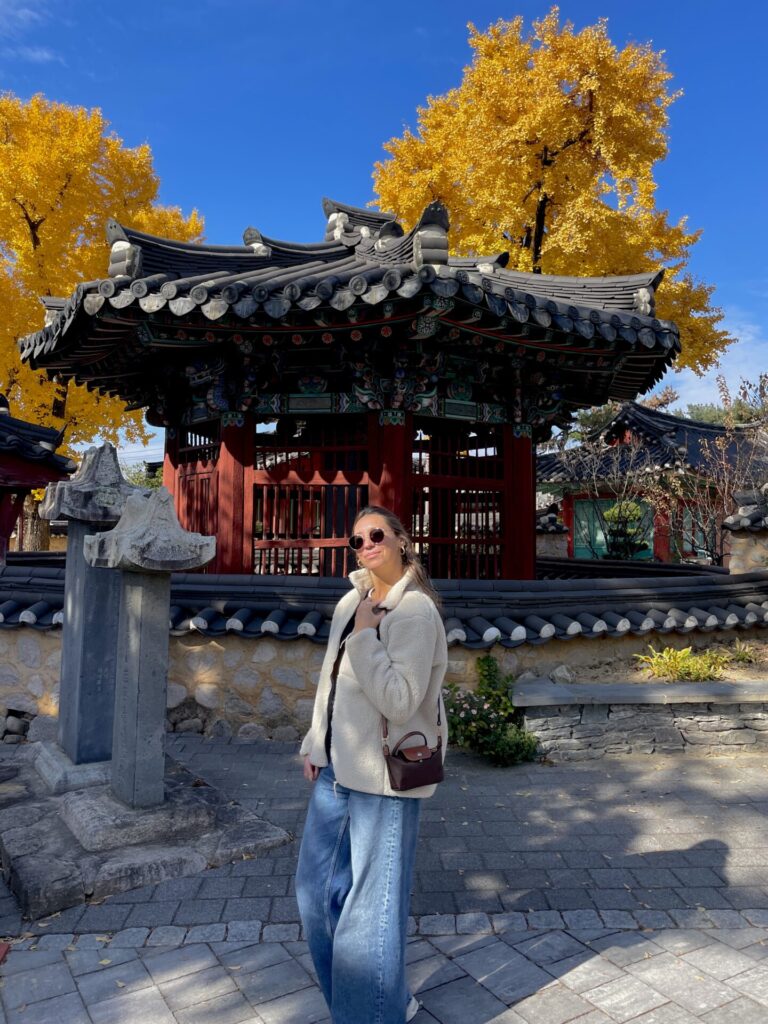 Things to Know Before Going to South Korea (Must-Read Travel Tips)