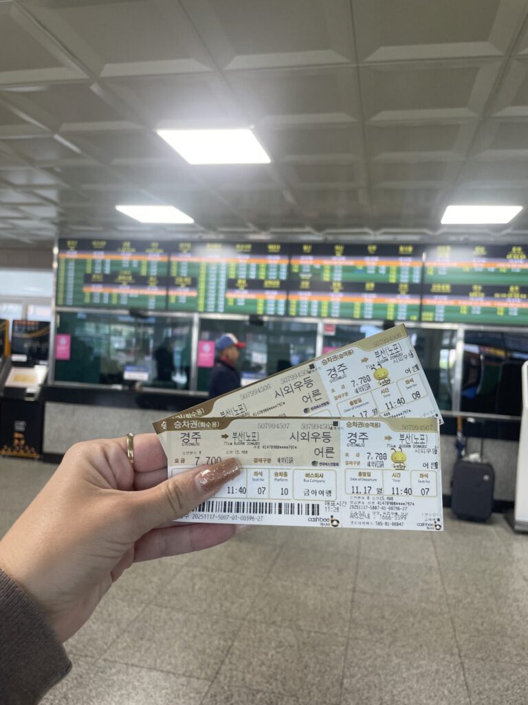 Things to Know Before Going to South Korea (Must-Read Travel Tips)