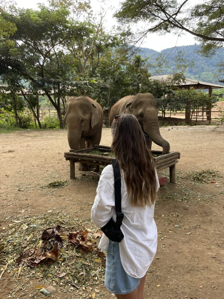 Is Thailand Expensive to Visit? My Honest Budget Breakdown 2026