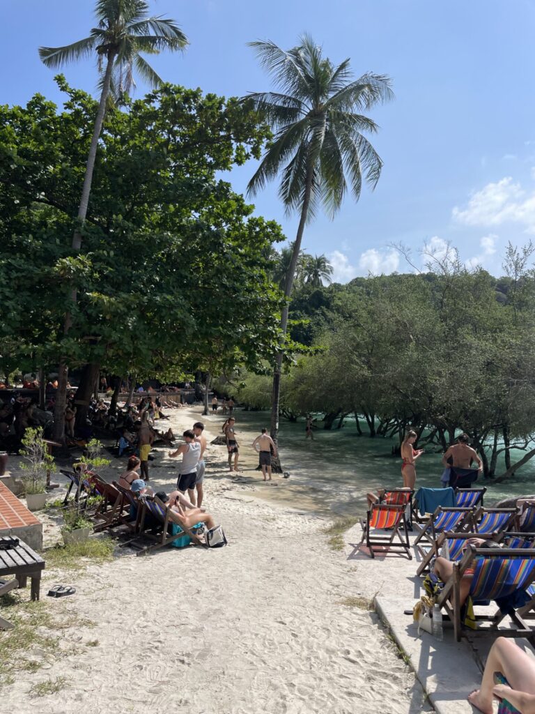 Is Koh Tao Worth Visiting? My Honest Review in 2026