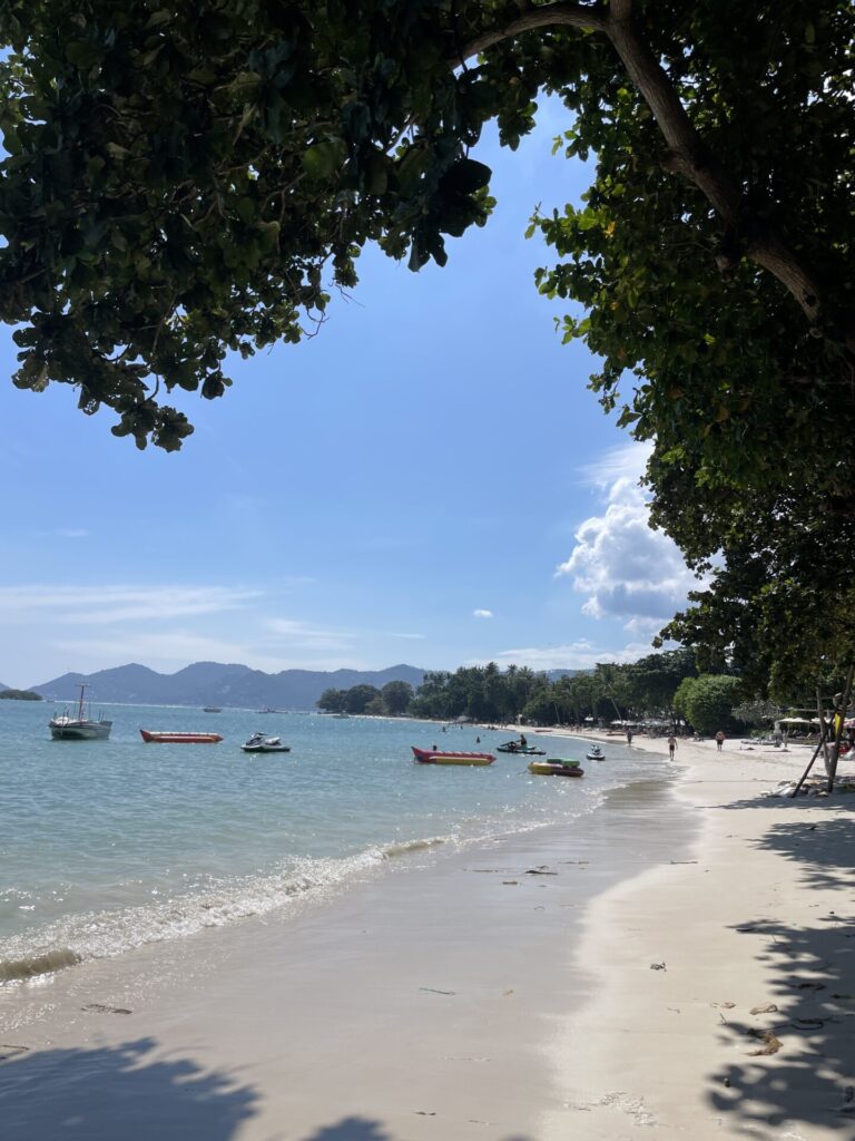 Koh Tao vs Koh Samui: Why I Love One More Than The Other (Honest Review 2026)