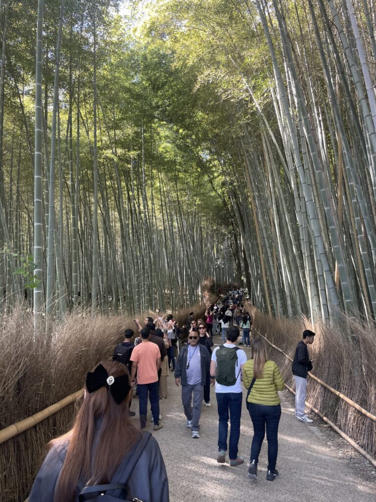 A Mini Guide to Kyoto Bamboo Forest: Is It Worth It + Best Alternative in 2026
