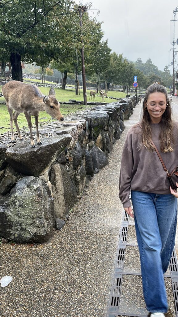 Is Nara Worth Visiting? My Honest Review 2026