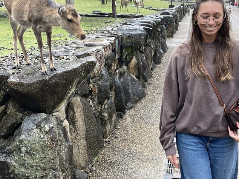 Is Nara Worth Visiting? My Honest Review 2026