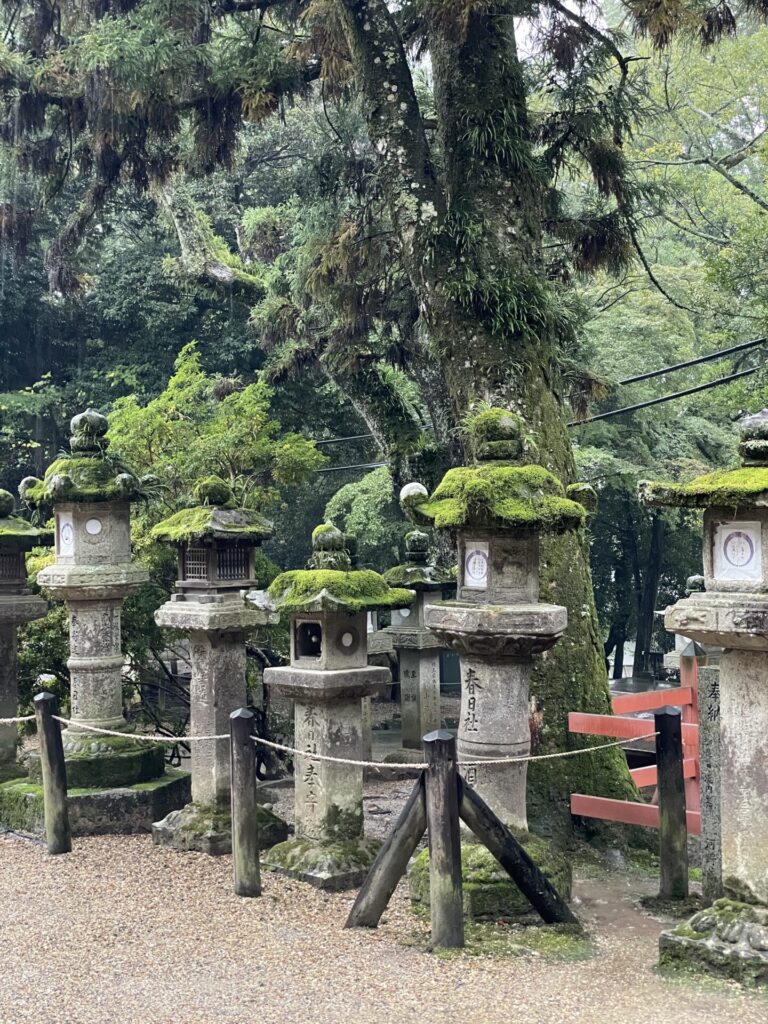Is Nara Worth Visiting? My Honest Review 2026