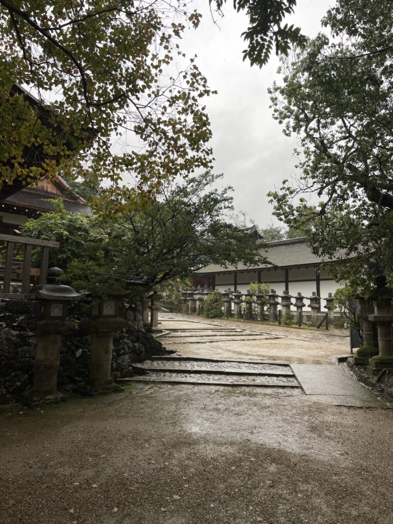 Is Nara Worth Visiting? My Honest Review 2026