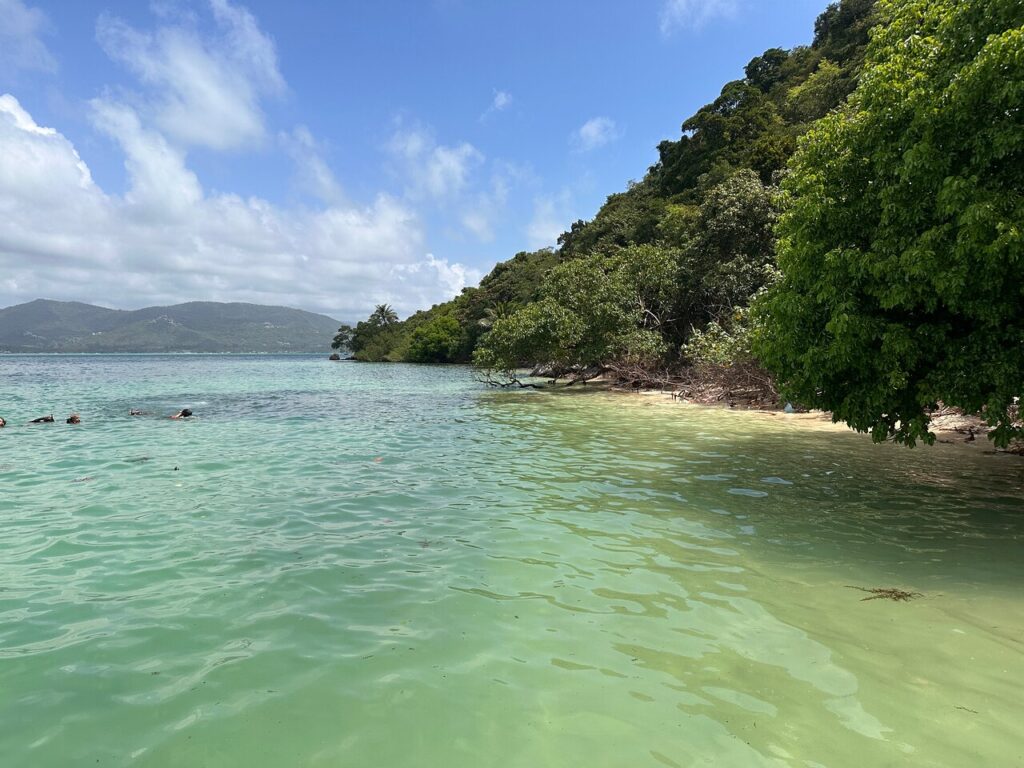 The 9 Best Things to Do in Koh Samui You Shouldn’t Miss 2026