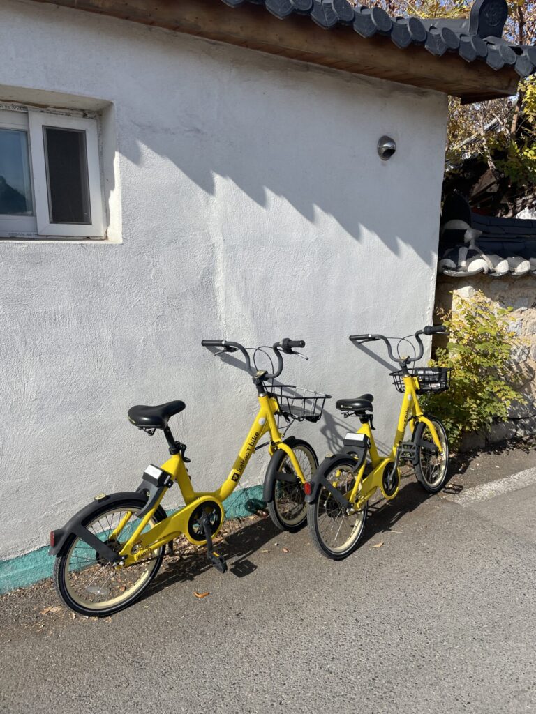 Is Gyeongju Worth Visiting? My Honest Review in 2026