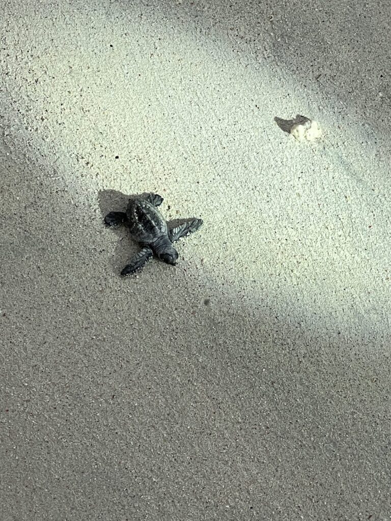 Indonesia Itinerary 3 Weeks: How I Spent 21 Days in Indonesia 2026