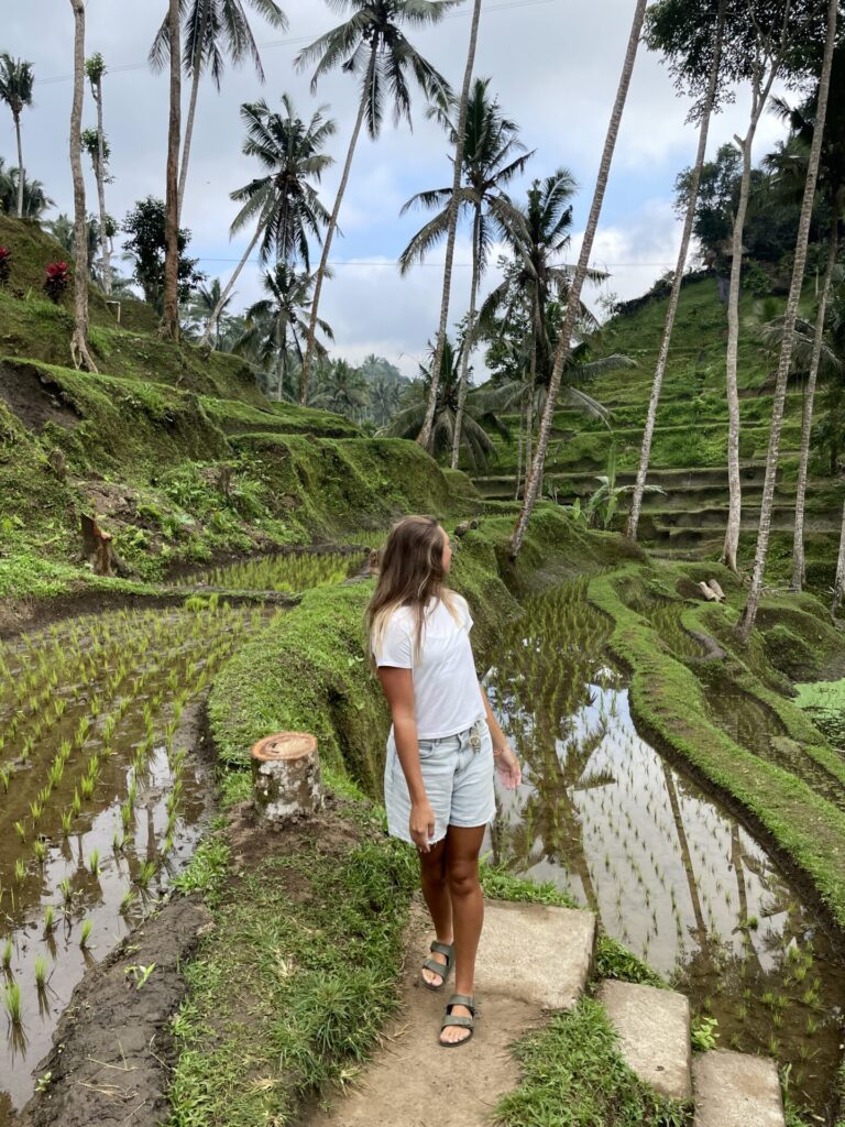 Indonesia Itinerary 3 Weeks: How I Spent 21 Days in Indonesia 2026