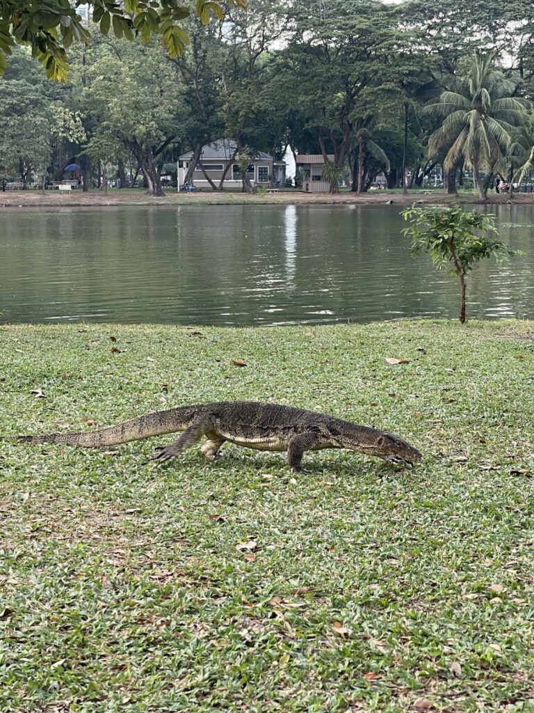 The 11 Best Things to Do in Bangkok: My Favorite Activities in 2026