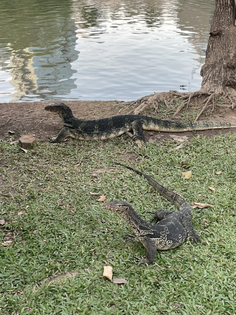 The 11 Best Things to Do in Bangkok: My Favorite Activities in 2026