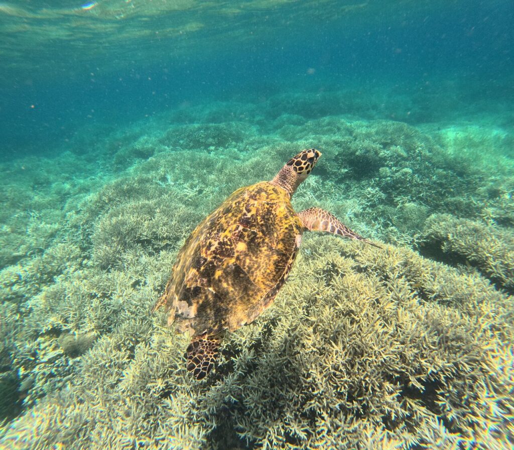 The 9 Best Things to Do in Kuta Lombok: My Favorite Activities 2026