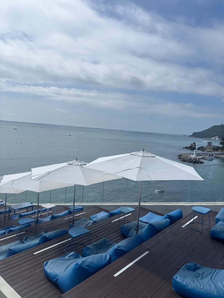 The 8 Best Cafes in Busan: My Top Coffee Spots in 2026