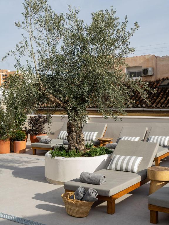 Where to Stay in Malaga Spain: My Top Areas & Hotels in 2026