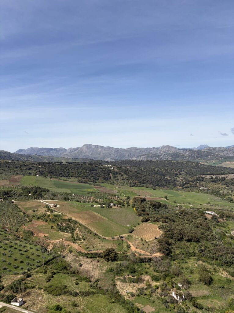The 7 Best Things to Do in Ronda Spain: My Top Activities in 2026