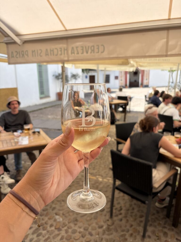 The 7 Best Restaurants in Cordoba Spain: My Favorite Food Spots in 2026
