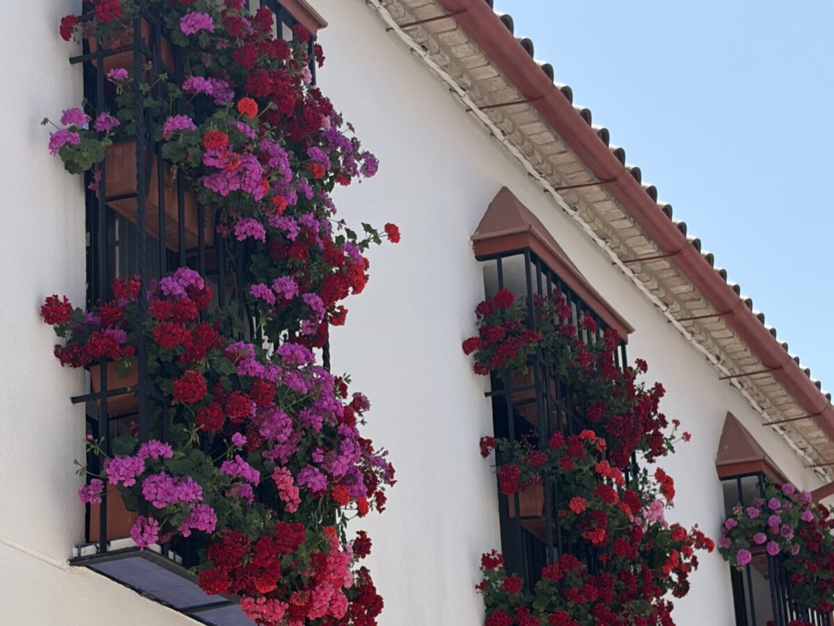 Cordoba Spain In One Day: How to Spend 24 Hours in Cordoba 2026