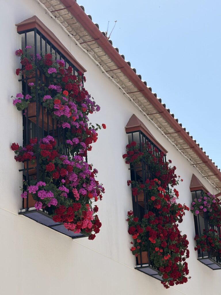 The Best Time To Visit Cordoba Spain: When I Would Visit Again in 2026