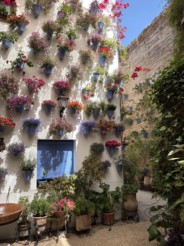 Is Cordoba Spain Worth Visiting? My Honest Review in 2026