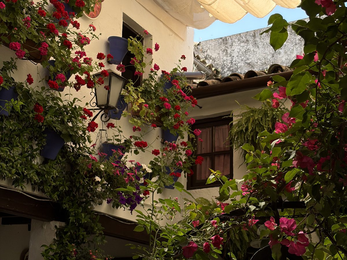 How Many Days in Cordoba Spain Do You Really Need: My Guide for 1,2 or 3 Days in 2026
