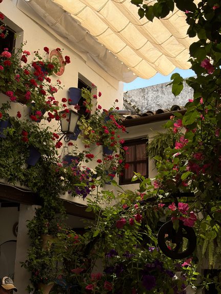 How Many Days in Cordoba Spain Do You Really Need: My Guide for 1,2 or 3 Days in 2026