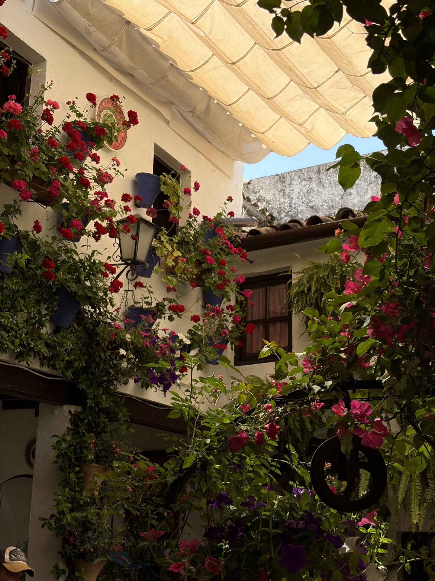 The Best Time To Visit Cordoba Spain: When I Would Visit Again in 2026