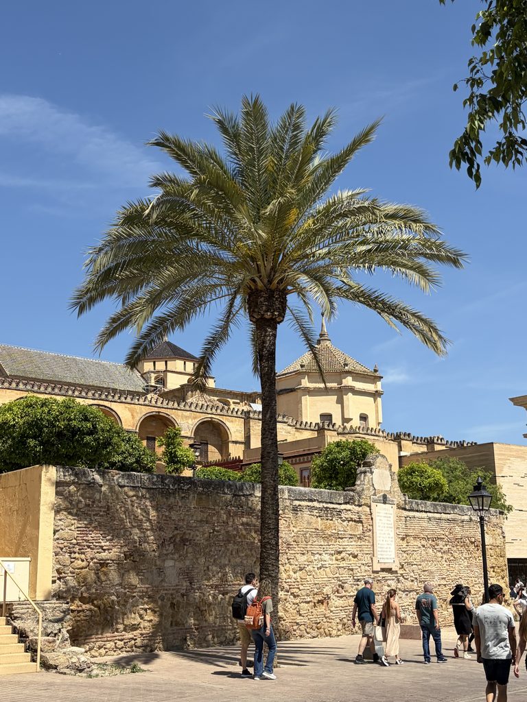 The Best Time To Visit Cordoba Spain: When I Would Visit Again in 2026