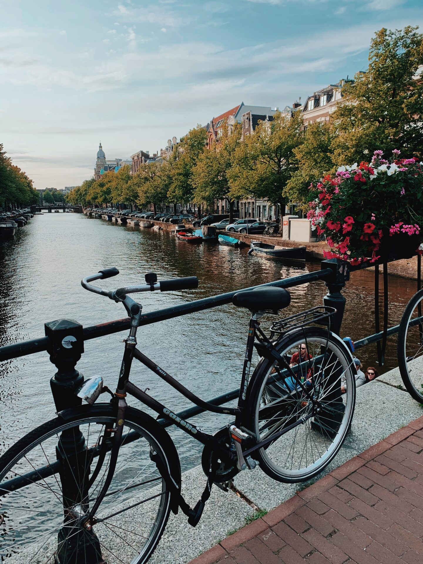 Is Amsterdam Worth Visiting? My Honest Review in 2026
