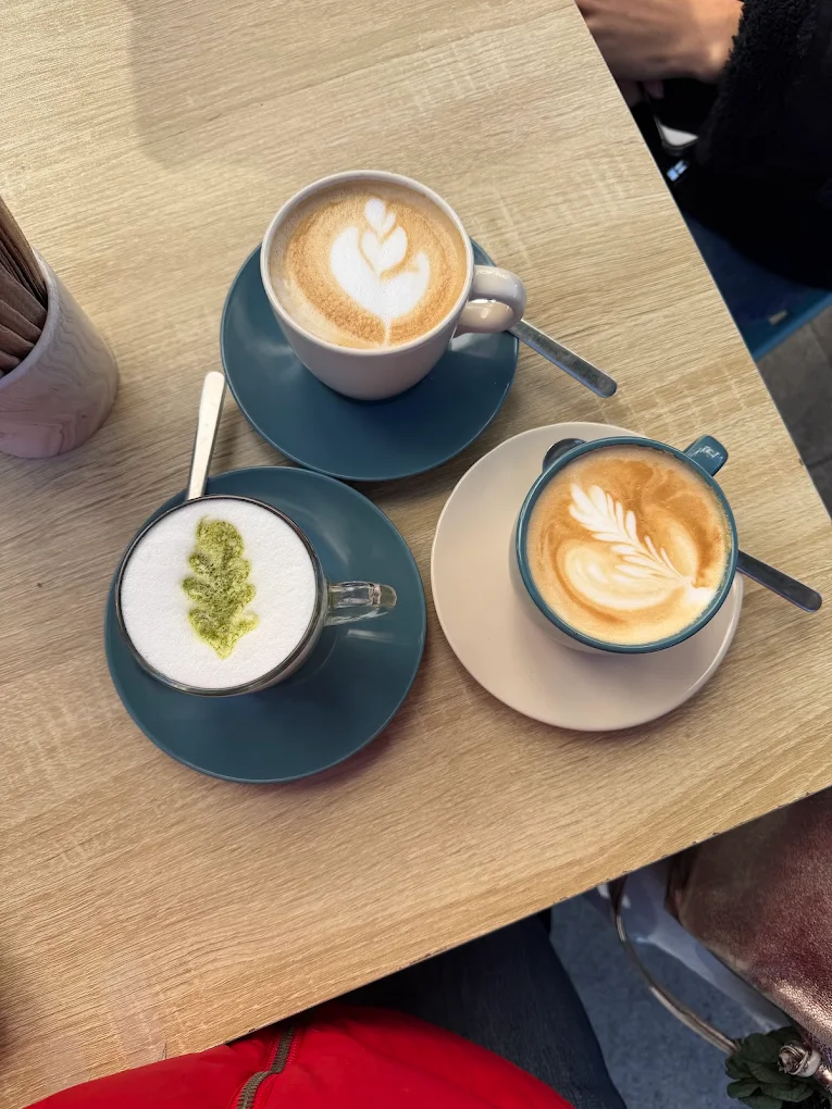 The 6 Best Cafes in Cordoba Spain: My Top Coffee Shops in 2026