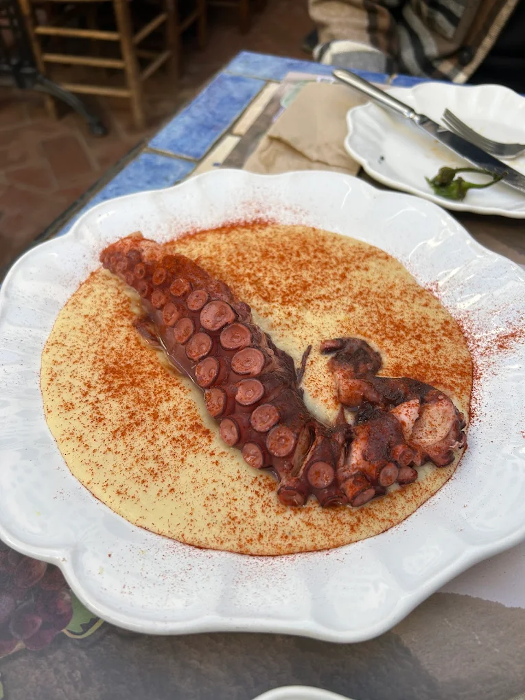The 7 Best Restaurants in Cordoba Spain: My Favorite Food Spots in 2026