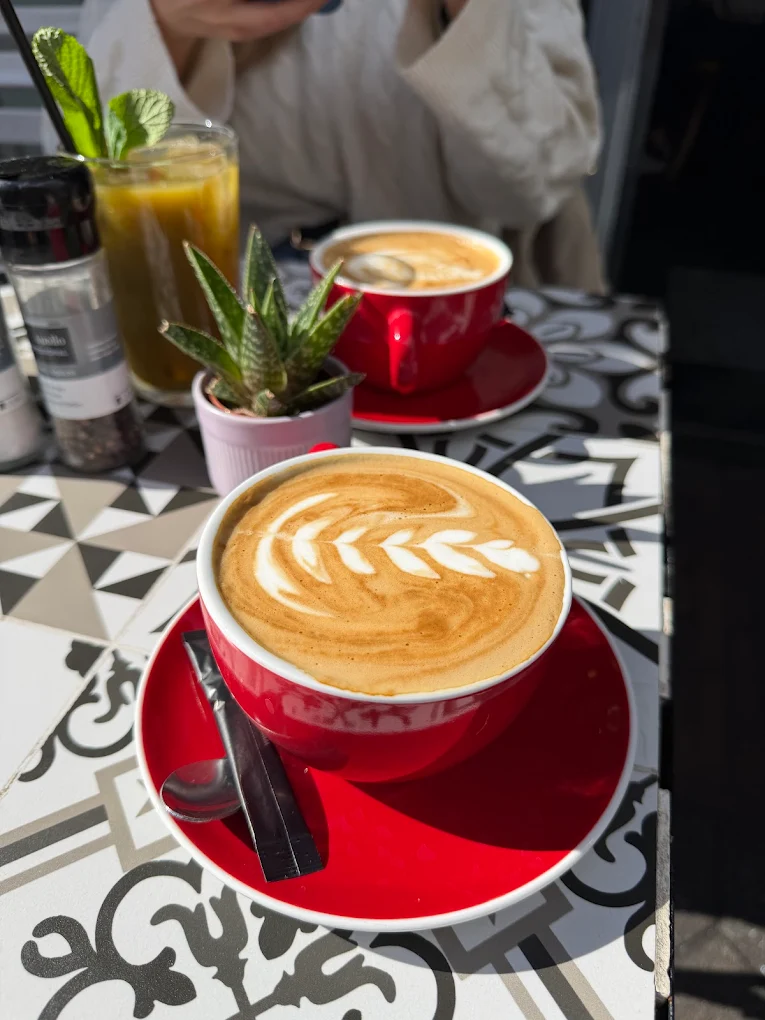 The 7 Best Cafes in Amsterdam: My Top Coffee Shops in 2026