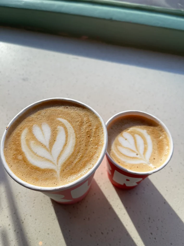The 7 Best Cafes in Amsterdam: My Top Coffee Shops in 2026