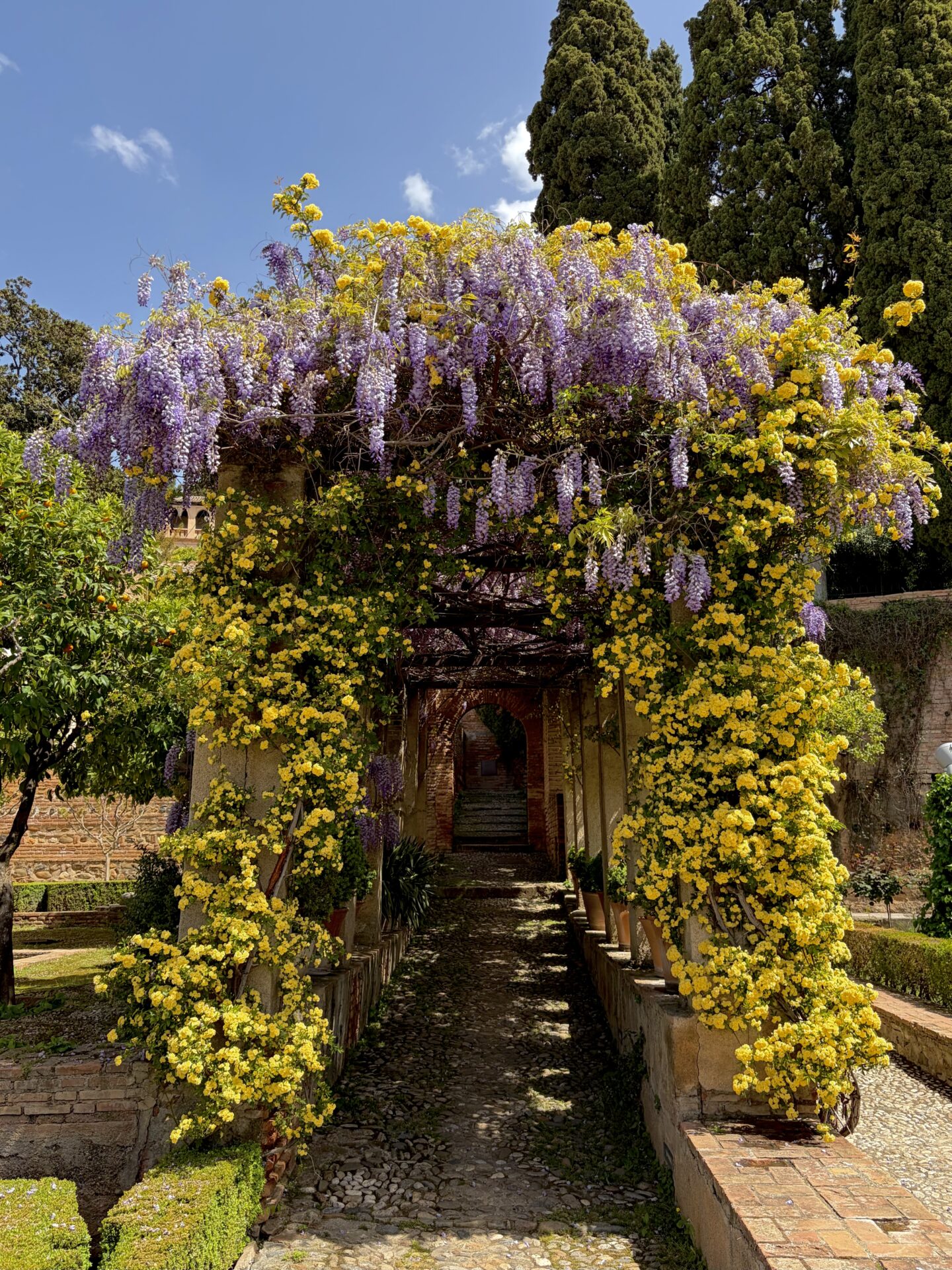 Is Granada Spain Worth Visiting? My Honest Review in 2026