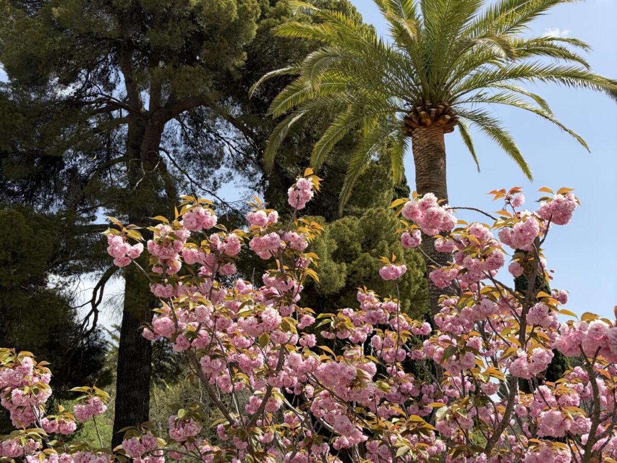 How Many Days in Granada Spain Do You Really Need? My Honest Opinion in 2026