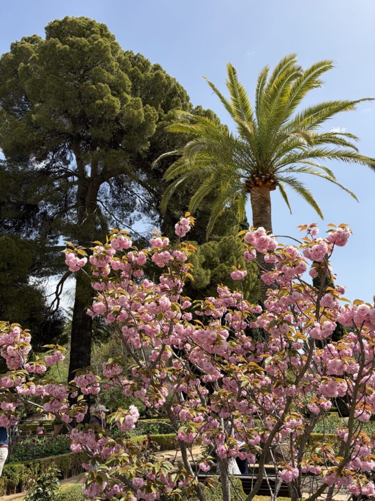How Many Days in Granada Spain Do You Really Need? My Honest Opinion in 2026